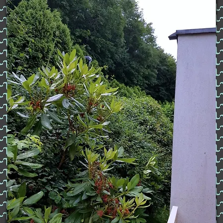 Ferienwohnung Bad Harzburg *