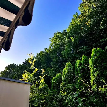 Apartment Ferienwohnung Bad Harzburg *