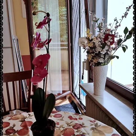 Ferienwohnung Bad Harzburg Apartment Bad Harzburg